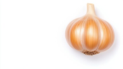 A single garlic bulb with a light brown outer skin is placed on a white background.