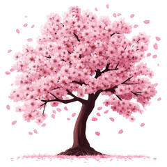 Fototapeta premium Blooming cherry blossom tree in spring season