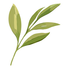 Obraz premium Green Leaves