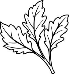 arugula leaves outline coloring book page line art vector illustration, black outline
