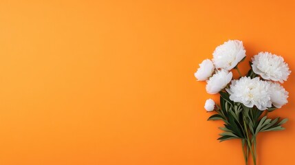 White peonies on vibrant orange background