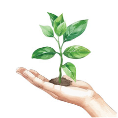 small plant growing in a persons hand cute watercolors illustration on white background