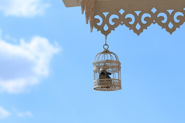 Artificial bird in the white wooden cage installed at the edge of building. Classic design interior at the backyard. 