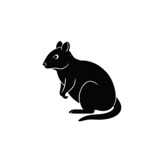 Fototapeta premium Black silhouette of a quokka, an Australian marsupial, sitting gracefully