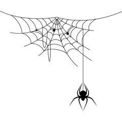 Cobweb with Spider Illustration