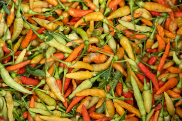 Spicy chile peppers harvest local market food colors close-up culinary inspiration