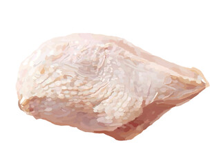 鶏胸肉（生肉）
