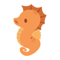 seahorse illustratiion