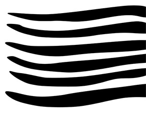 Zebra skin pattern hand drawn 