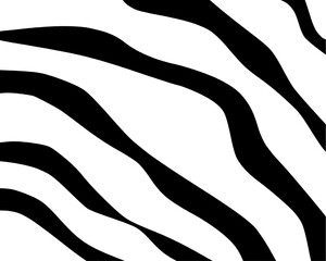 zebra skin pattern hand drawn 
