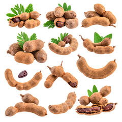 Tamarind fruit collection with leaves isolated on white or transparent 