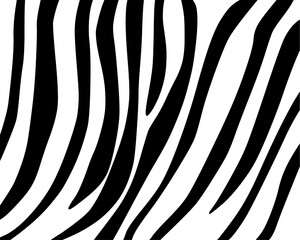 Zebra skin pattern hand drawn 
