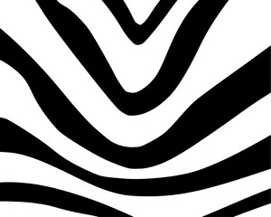 zebra skin pattern hand drawn 
