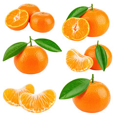 tangerine collection with leaves isolated on white or transparent 