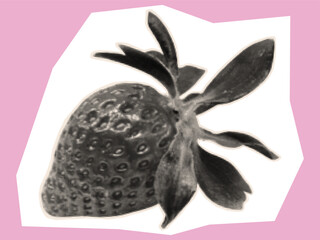 Strawberry in halftone style. Sweet summer berry for contemporary collage art design, cut out from paper, magazine, newspaper. Abstract pieces with strawberries for composition. Vector.