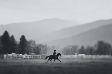 lone cowboy rides bucking bull at thrilling rodeo event with blurred background adding intensity