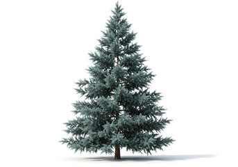 Fototapeta premium Majestic Silver Spruce Tree Isolated on White Background