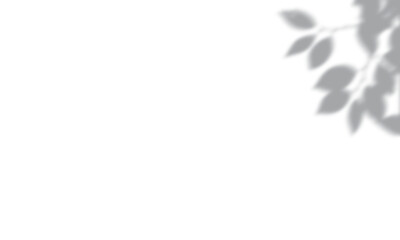 Obraz premium Premium tree shadow png transparent background