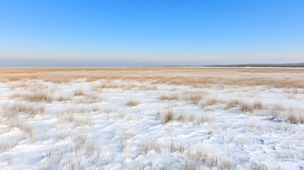 Serene Winter Landscape Snow Covered Field Under a Clear Blue Sky A picturesque view of a frosted winter grassland