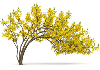 Obraz premium Golden Blossoms Arc in Springtime's Embrace