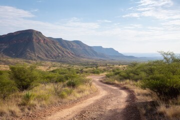 Fototapeta premium empty dirt trail winds through vast national park surrounded by sparse green foliage under pale blue sky