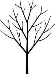 Fototapeta premium tree silhouette vector