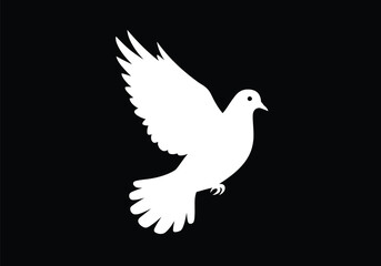 Fototapeta premium White dove silhouette. This image shows a white dove silhouette, also known as a pigeon outline, on a black background. Vector clipart illustration design.