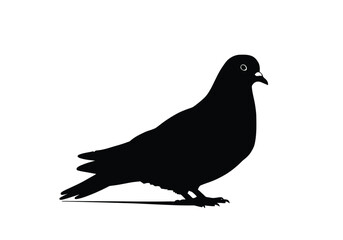 Obraz premium Dove silhouette. This image shows a black silhouette of a dove, also known as a pigeon. Vector clipart illustration design.