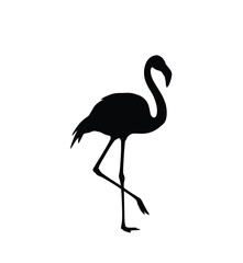 Flamingo silhouette. This image shows a black silhouette of a flamingo standing on one leg, showcasing its elegant and graceful posture. Vector clipart illustration design.