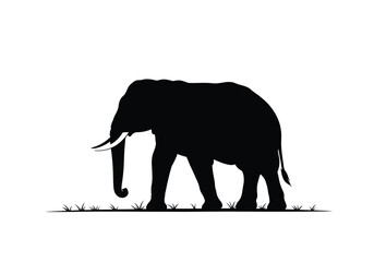 Fototapeta premium Elephant safari silhouette. This image shows a black silhouette of an elephant standing on grass, highlighting tusks and trunk, representing wildlife and nature. Vector clipart illustration design.