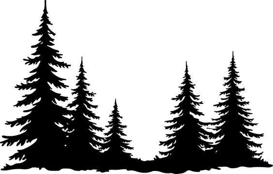 Silhouette of Pine Trees Vector set