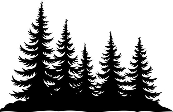 Silhouette of Pine Trees Vector set