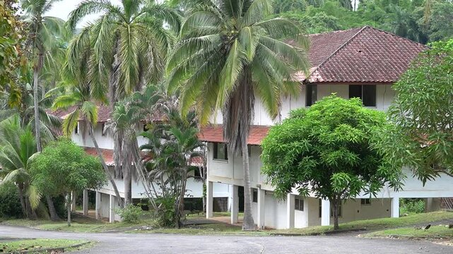 abandoned houses in the jungle