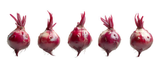 A row of fresh raw red beets with green stems shows root vegetable variety for healthy eating promotion isolated on a transparent background.