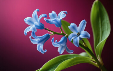 Naklejka premium A serene night sky full of bright stars, with a soft glowing full moon shining 