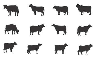 Set of cows. Black silhouette cow isolated on white. Hand drawn vector illustration.

