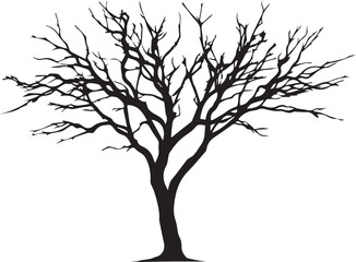 Silhouette of a leafless tree against a white background
