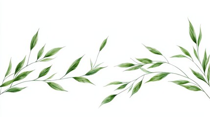 Naklejka premium Delicate Green Grass Leaves Floating Gracefully on a White Background Creating a Serene Atmosphere