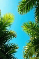 Fototapeta premium Palm fronds reaching skyward, vibrant green against blue , environment, palm, blue