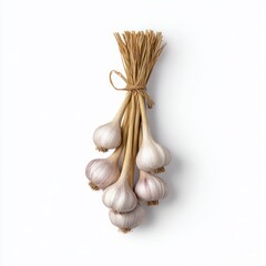 Garlic bulbs tied together isolated on white background