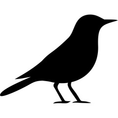 Wild Bird Silhouette