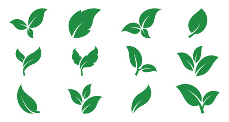 Green leaf vector icons. Eco leaf logo. Simple leaves of trees and plants. Elements for eco friendly and bio logo, vegan.  Ecology leaf element. perfect for graphic design projects.