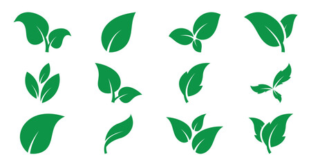 Eco green color leaf vector logo flat icon set. Isolated leaves icon on white background. Bio plant and tree floral forest concept design. Vector green leaf icon, eps 10