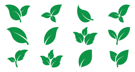 Eco green color leaf vector logo flat icon set. Isolated leaves icon on white background. Bio plant and tree floral forest concept design. Vector green leaf icon, eps 10