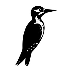Woodpecker Silhouette vector illustration