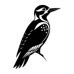 Woodpecker Silhouette vector illustration