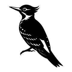 Woodpecker Silhouette vector illustration