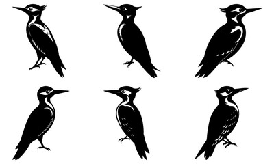 Woodpecker Silhouette vector illustration