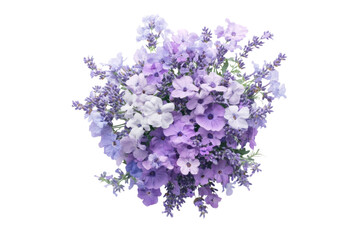 Obraz premium Stunning Purple and Lavender Flower Bouquet