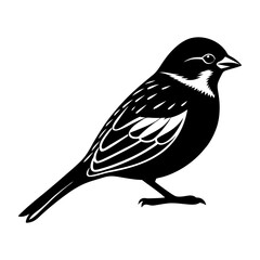 Sparrow Silhouette vector illustration